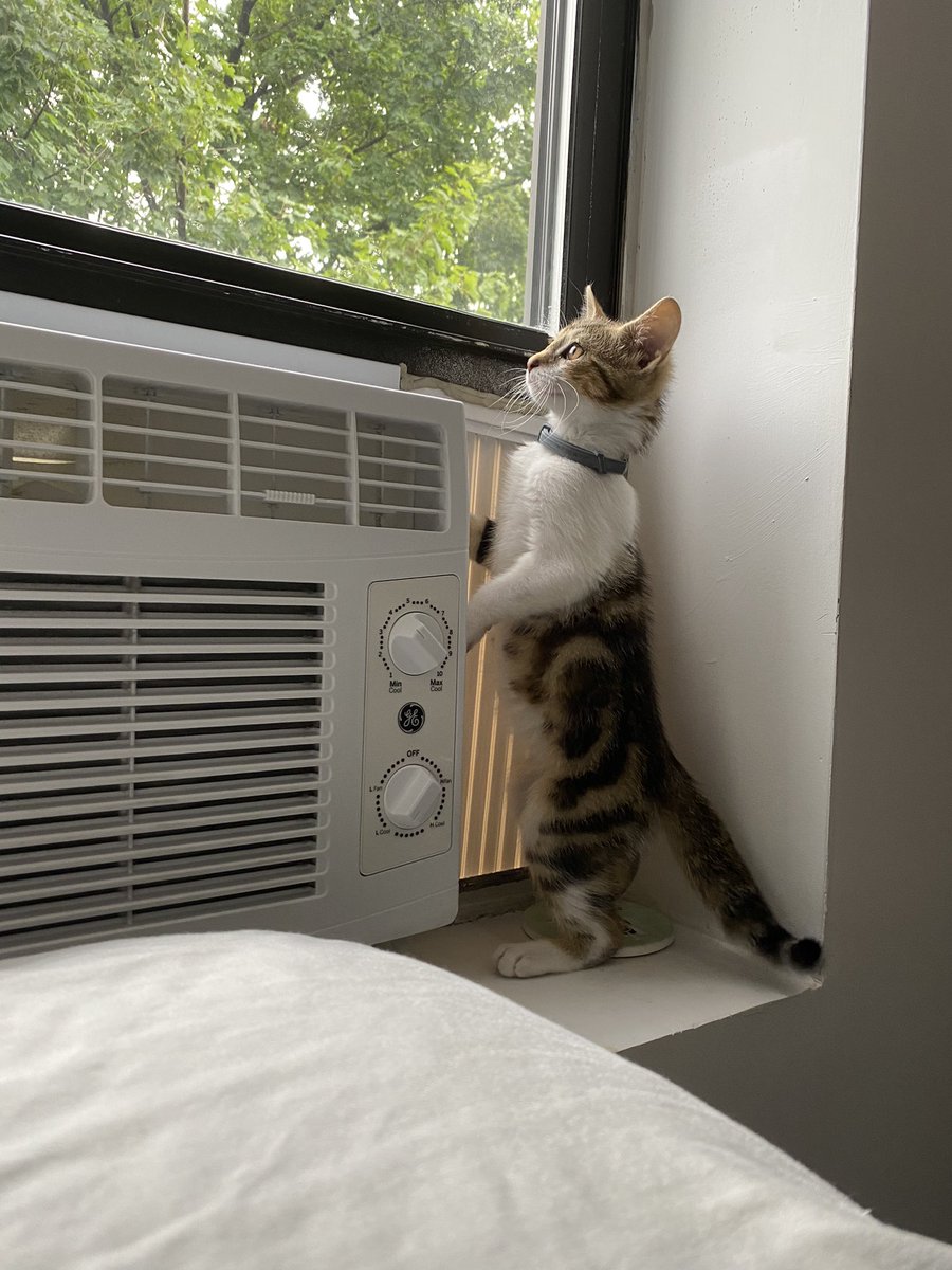 Robin & Siouxsie tweet media