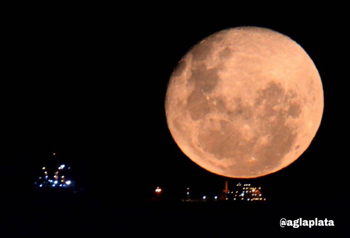 aglaplata tweet media