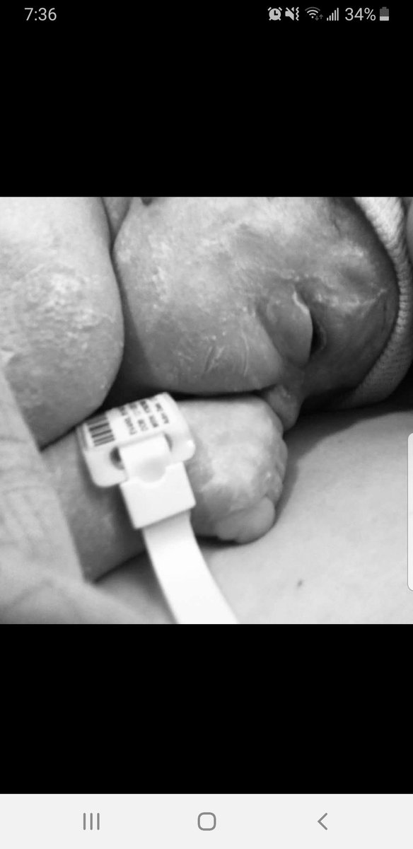 BIGBOSSHAUS's tweet photo. My dude is finally here :) mom n him are very healthy :):) https://t.co/rNV04y3eEw