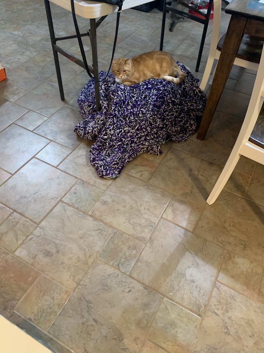 gracewooooods's tweet photo. The floor is lava https://t.co/ZMBDpAdKbm
