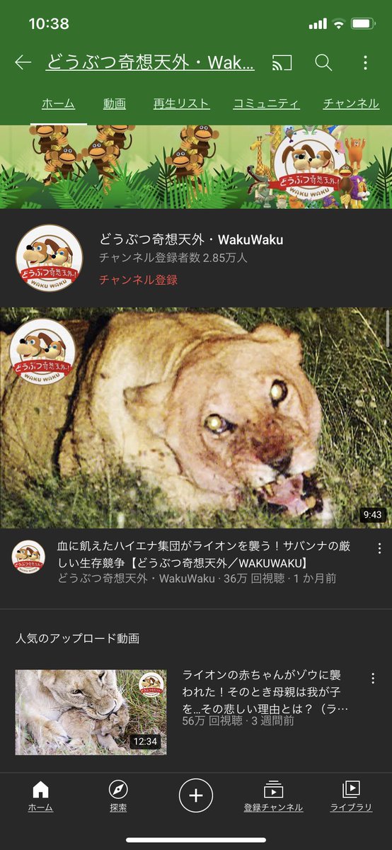 どうぶつ奇想天外 どうぶつ奇想天外