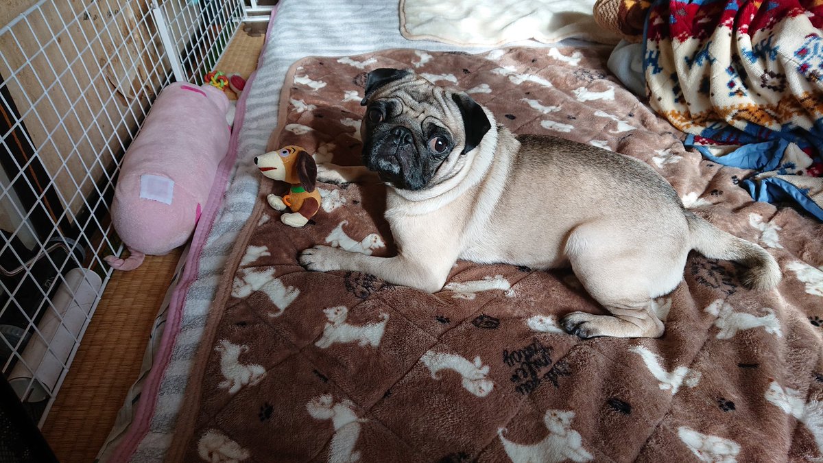 B9 Ad Twitter Search