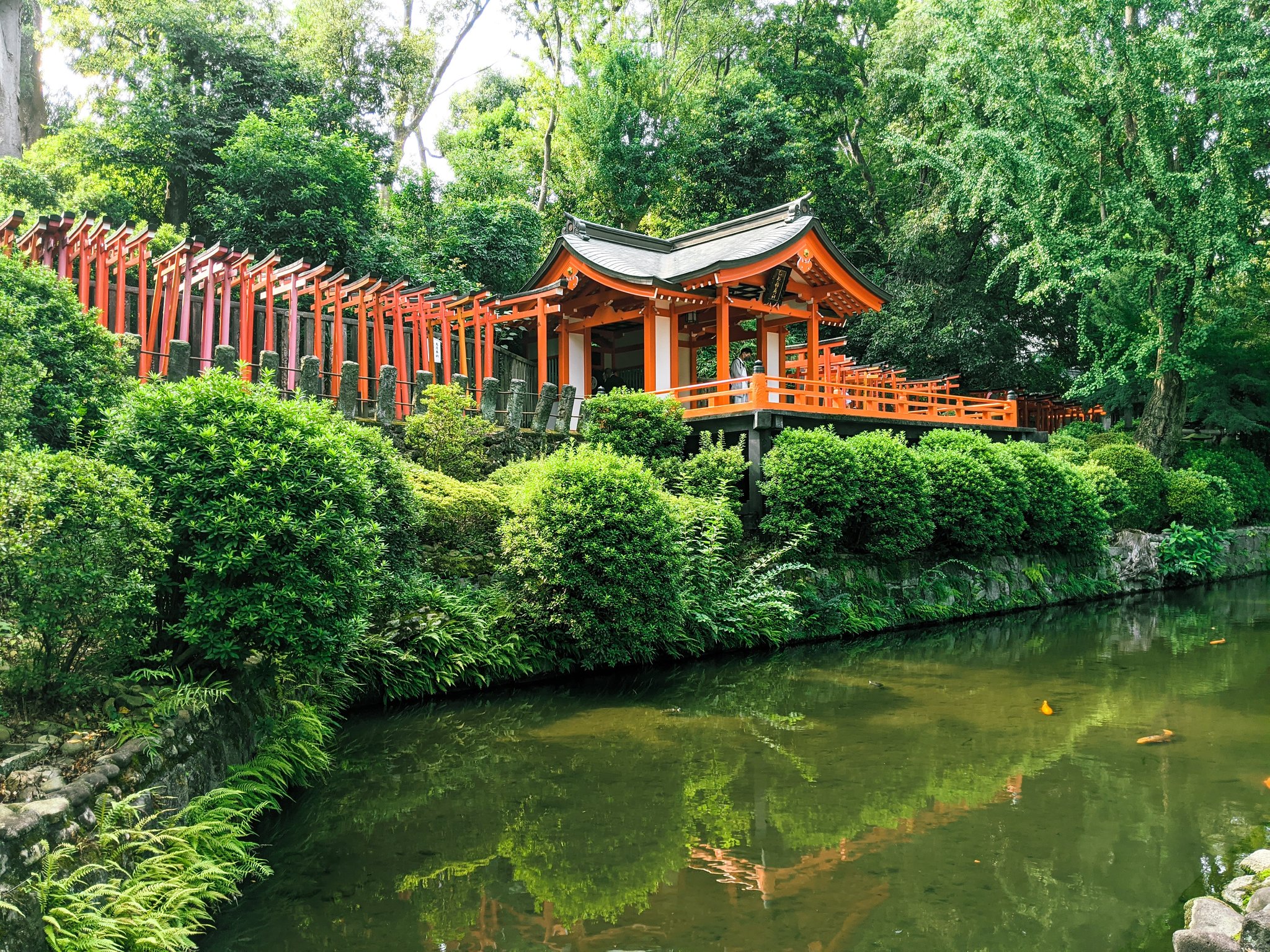 Hello Japan Tours One Of Our Personal Favorite Shrines Nezu Shrine We Love The Beautiful Torri Gates Surrounded By A Wonderful Azalea Garden Which Shrines Do You Want To Visit