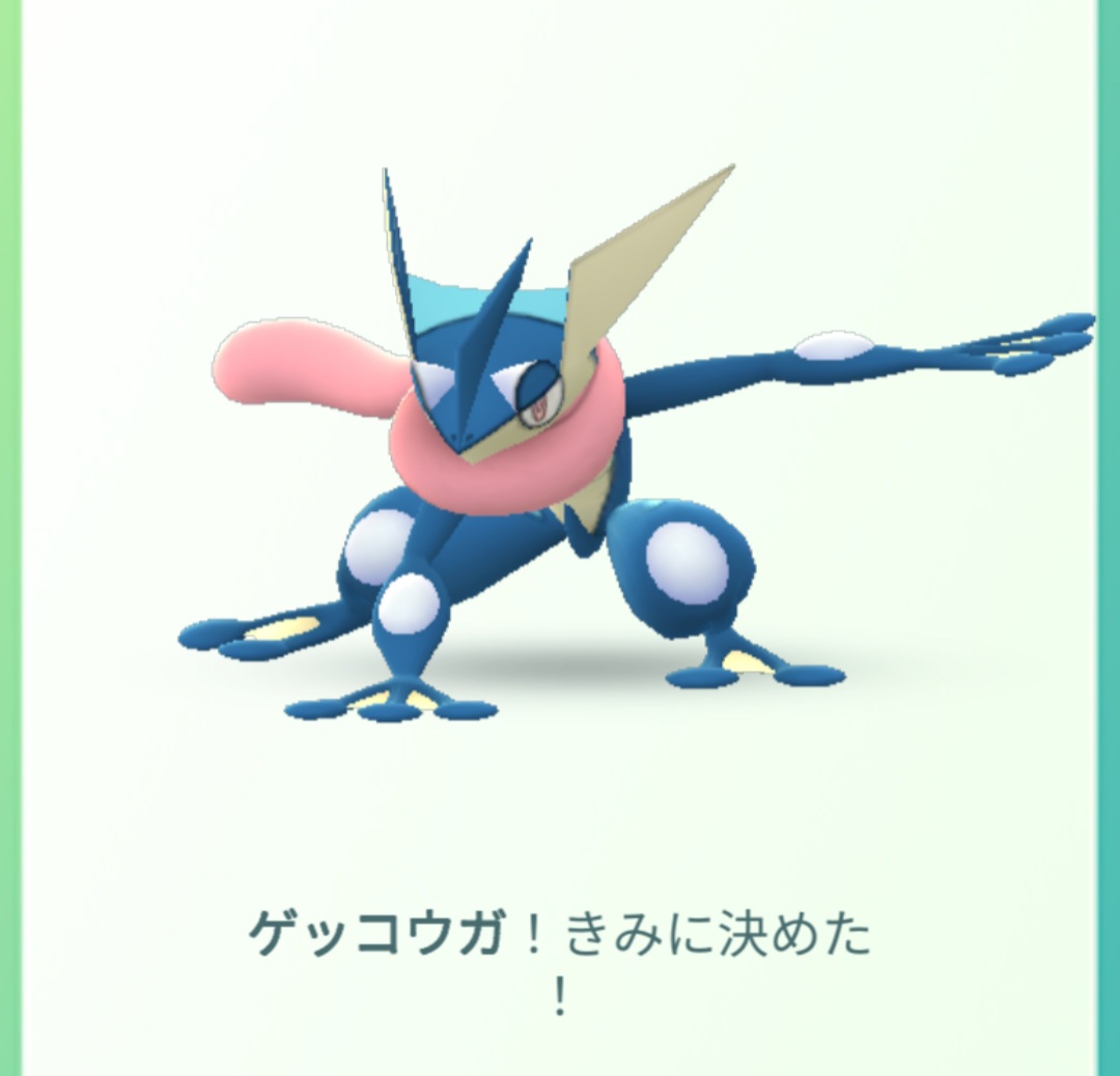 تويتر モンサポ على تويتر 4a770jmf2qtyptr 早く相棒にしたくて 初めてゲットしたケロマツに 与えました カッコ良すぎです تويتر モンサポ على تويتر 4a770jmf2qtyptr 早く相棒にしたくて 初めてゲットしたケロマツに 与えました カッコ良すぎです