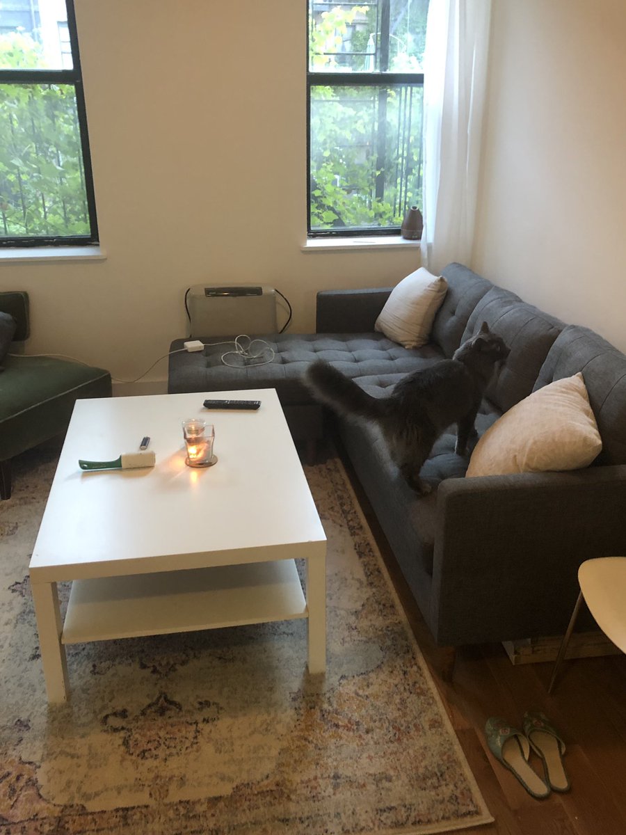 flabbywaddle's tweet photo. Hi! I’m subleasing my room in New York City in the East Village! It’s 1 bedroom w it’s own bathroom! Apartment is a 3 bed/2 bath w 2 other roommates. Please let me know if you know anyone looking and we can talk more ❤️ https://t.co/cTKYDCfoxD