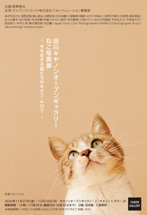 Japan Stray Cats Ph 猫をメインモチーフとした日本各地の写真家たちのブログ 品川キヤノンオープンギャラリー ねこ写真展 今を生きる猫たちのキオク キロク Jscpも参加しています 本日開催しています 平日がゆっくり鑑賞できオススメです