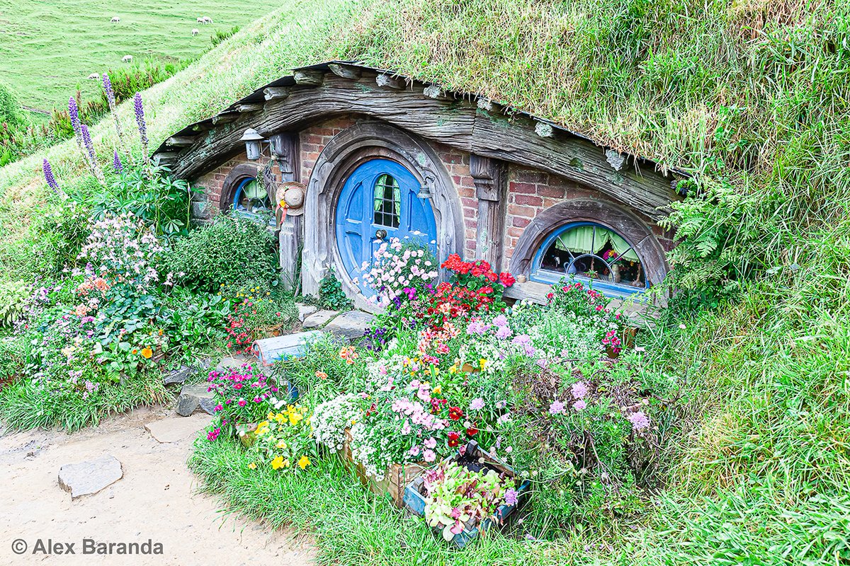 sojournofapeng1's tweet photo. The Shire! Check out my blog, There and Back Again, A Hobbit's Tale https://t.co/zMgdyxaj4n #traveler #photographer #hobbithole #hobbiton #newzealand #sojournofapenguin #canonusa #lotr #shire #middleearth #hobbit https://t.co/9NCV3DMXFp