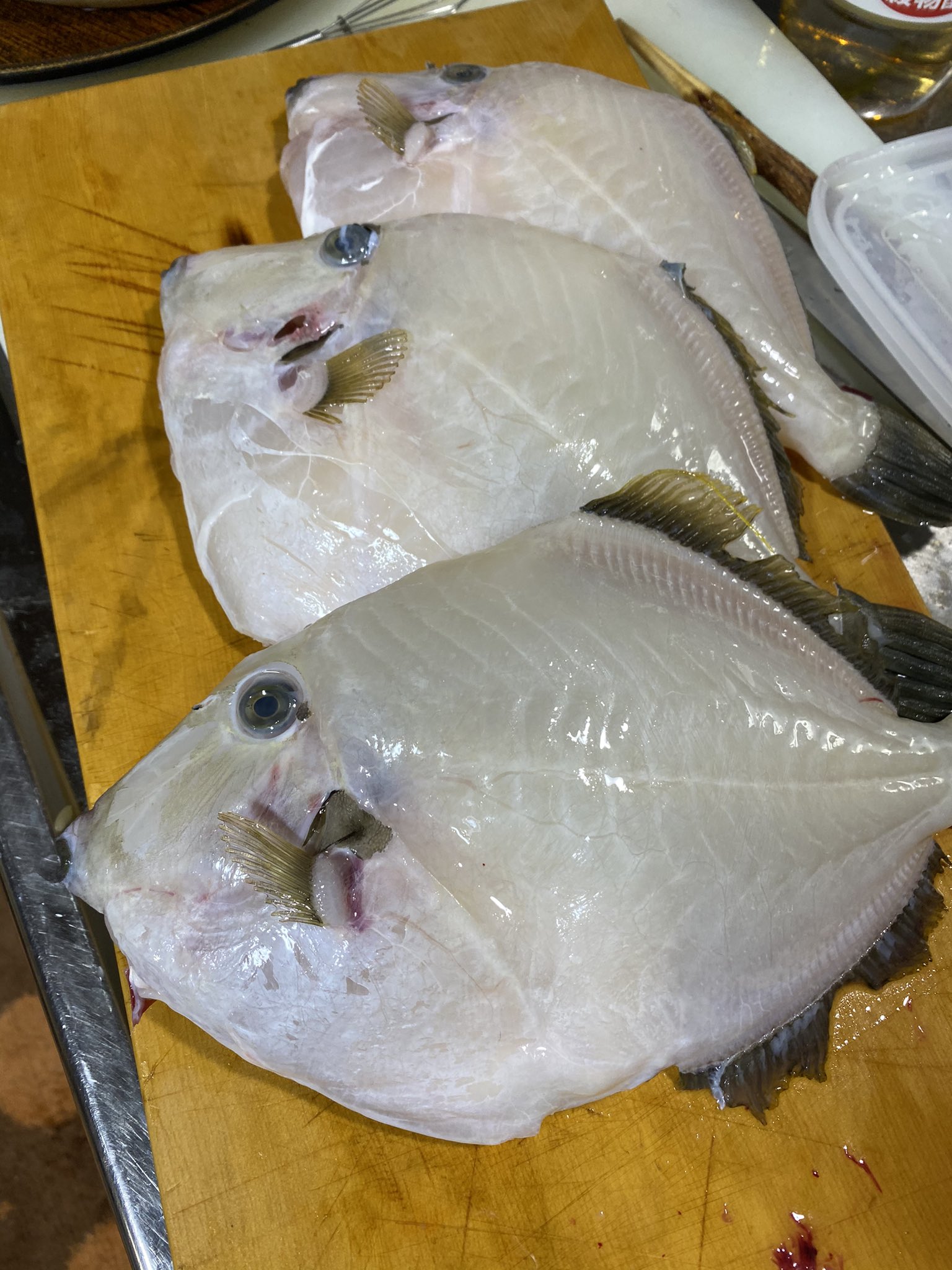 かねこ きまぐれクック カワハギで昼飯 養殖は刺身より煮付けだね うまい かねこ きまぐれクック カワハギで昼飯 養殖は刺身より煮付けだね うまい