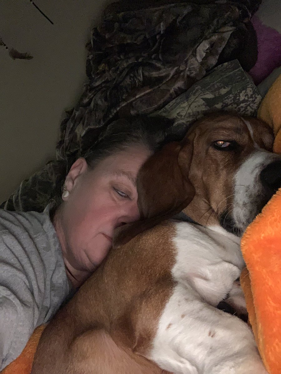cherryjillybean's tweet photo. He makes the worst days tolerable #lovemybasset#bassethounds#purelove https://t.co/7EviKUnVTs