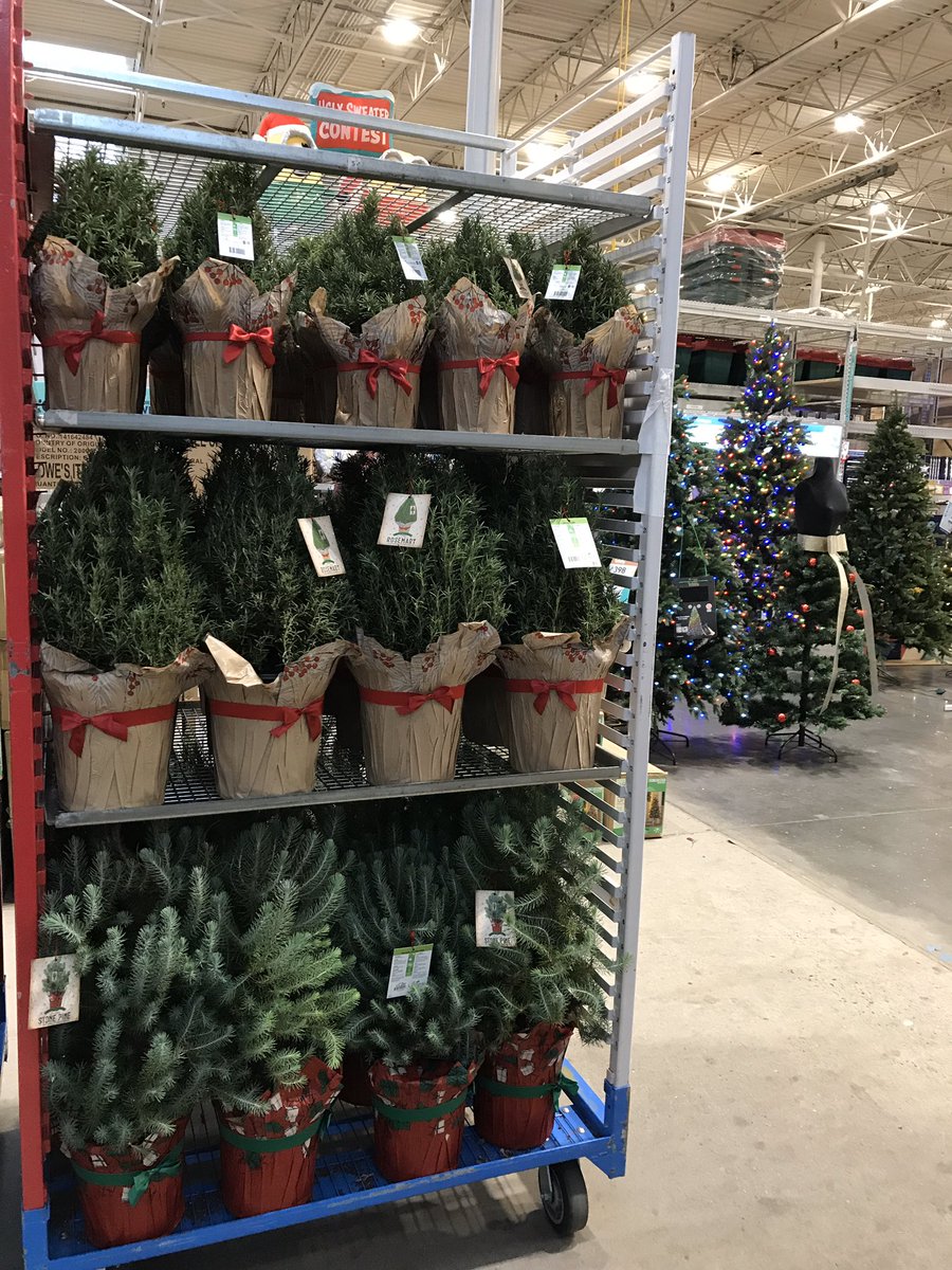 #LowesOfHamilton NJ 1046 is fully stocked with #poinsettias #christmastrees #mixedplanters #pothos #tabletoptrees and much more! Team 1046 a huge thank you for the #partnership!! DS Mollie & OSLG Natalie @FrancGambatese @church1230md @timdaleynymetro @PlantPartners @MetrolinaGHS