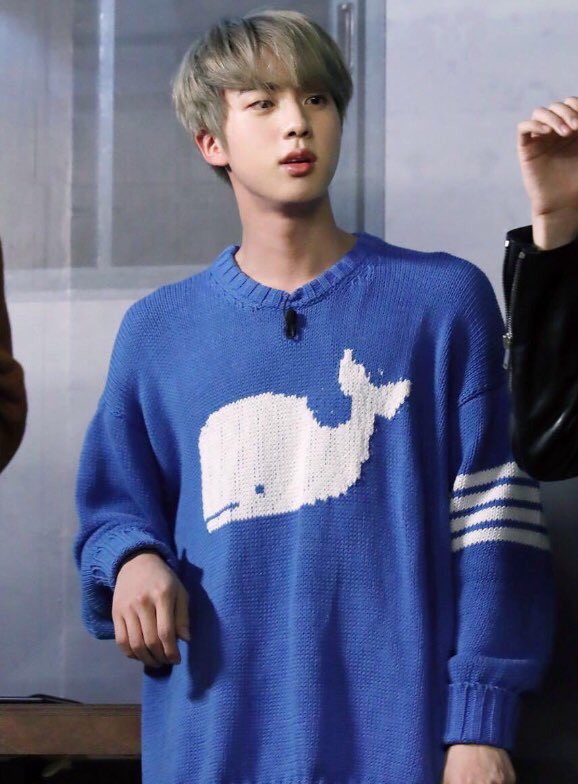 Bts Jin Whale Sweater 2025