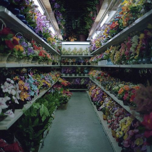 Backrooms One must always be cautious upon discovering a backroom. It is no accident you are there. Do not explore. These are cursed places