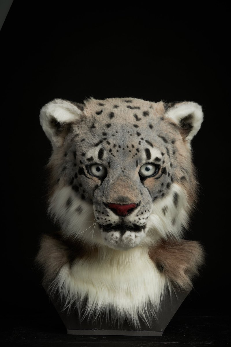 Ed 8d Ec 8a Ed 8a B8 Twitter Search Twitter