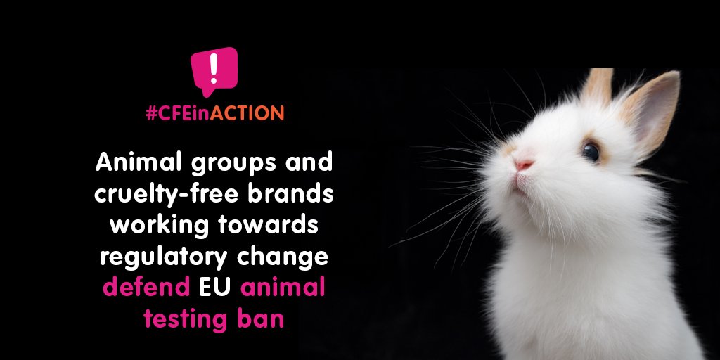 Cruelty Free Europe on Twitter: Cruelty Free Europe on Twitter: