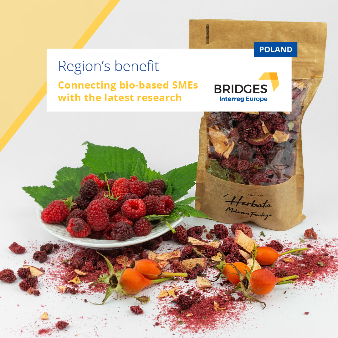 interregeurope's tweet photo. Bio SMEs in the Polish Lubelskie region can innovate with the latest research results. 63 SMEs, which have innovation potential, are now receiving tailored support to help them innovate.
📷©️Marshal Office Lubelskie Voivodeship
@Bridgesinterreg #Interreg30 https://t.co/s6iMMs0XGP https://t.co/ai8WzrRgz3