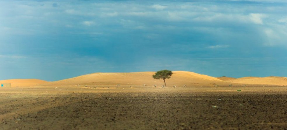 KFPE_CH's tweet image. Apply to the Impact Collaboration Programme 2021
Theme: ‘Bridging science and policy to foster systemic resilience’. Max CHF 40&apos;000 per project for 12 months gspi.ch/icp2021/ @ETH4D @Guenther_ETH @CDEunibe @lgoetschel @swisspeace @SAGUF_CH @tdnetCH