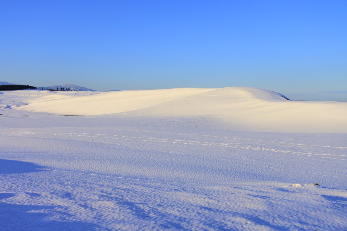 鳥取県フィルムコミッション 正解は 鳥取砂丘 でした 例年だと クリスマスごろから雪が降り出すことが多いです 真っ白な雪原へ変わる砂丘は 冬の時期にしか見ることができない風景です 写真は17年のものです 鳥取県フィルムコミッション 正解は 鳥取砂丘 でした 例年だと クリスマスごろから雪が降り出すことが多いです 真っ白な雪原へ変わる砂丘は 冬の時期にしか見ることができない風景です 写真は17年のものです