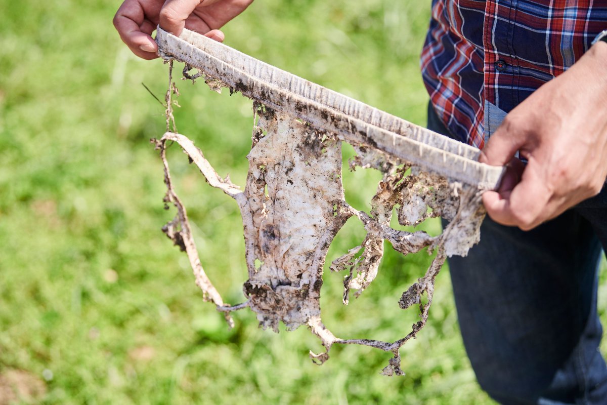 van der Heijden Lab (@vandeheijdenlab) on Twitter photo Today is World Soil Day. Are you interested in exploring soil health and #soilbiodiversity of your field or garden? Next April we start a large #CitizenScience project in Switzerland, bury underwear and assess its degradation as a proxy of soil quality. 
beweisstueck-unterhose.ch Today is World Soil Day. Are you interested in exploring soil health and #soilbiodiversity of your field or garden? Next April we start a large #CitizenScience project in Switzerland, bury underwear and assess its degradation as a proxy of soil quality. 
beweisstueck-unterhose.ch