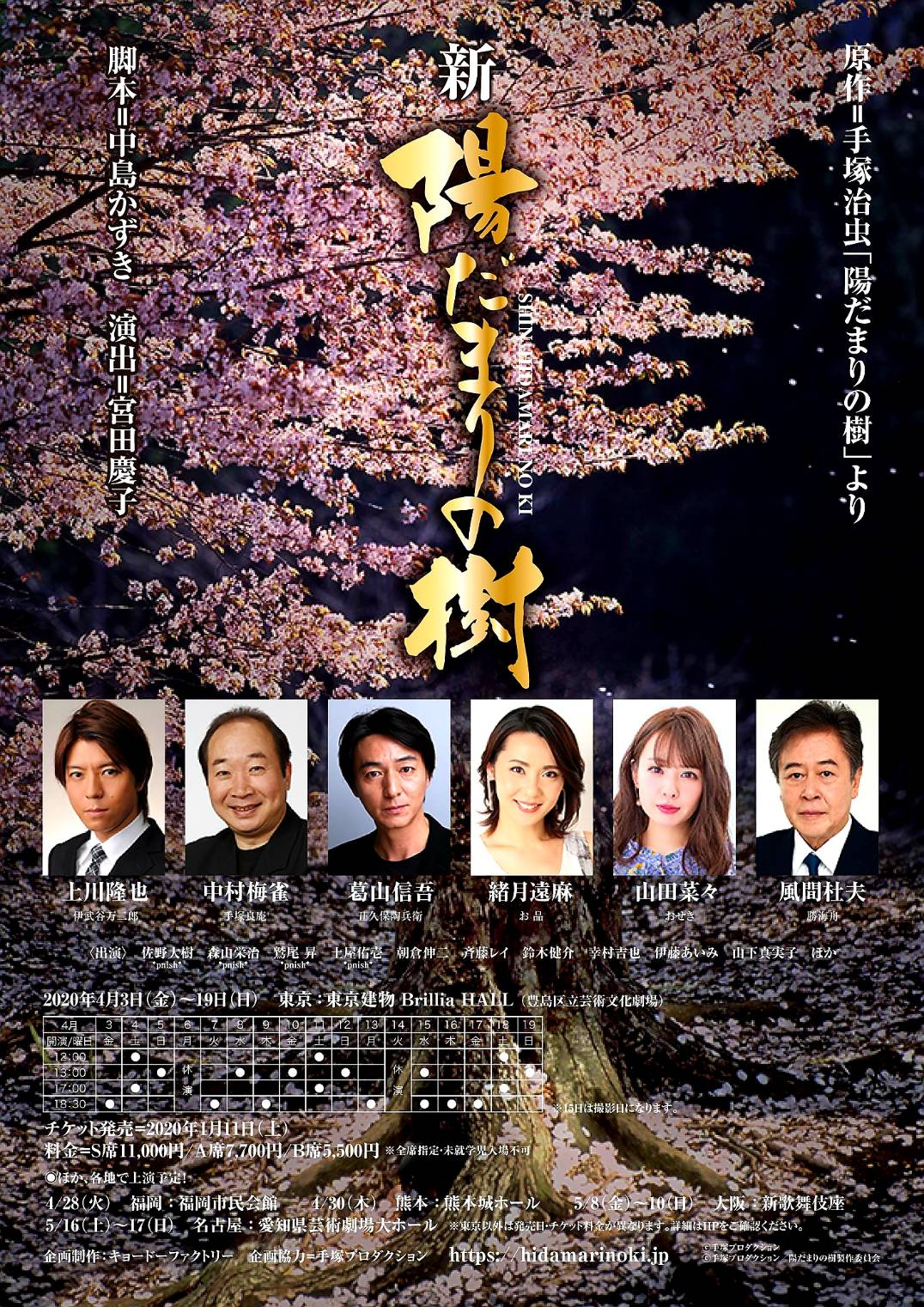 陽だまりの樹 全9巻セット DVD 再生確認済み
