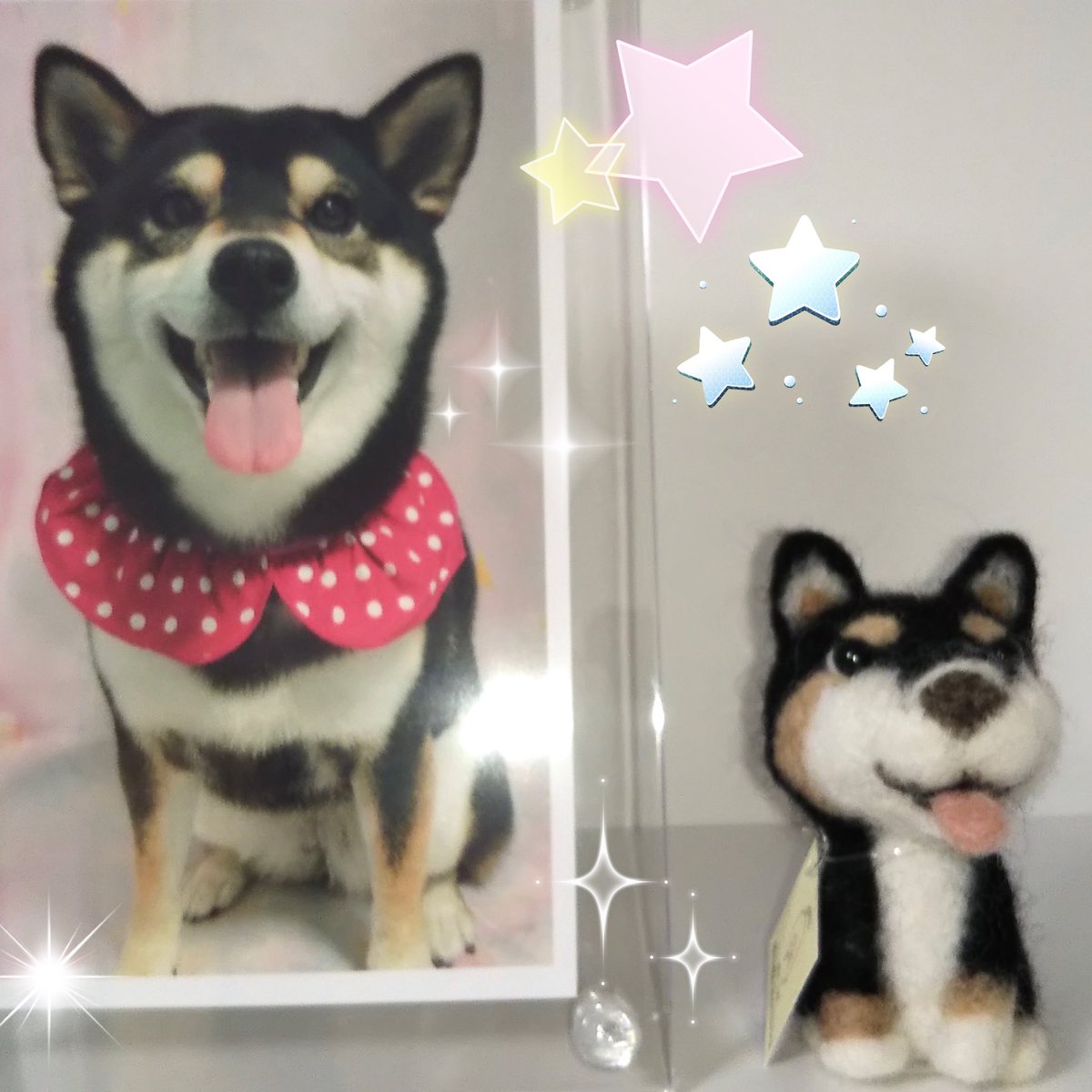 Twoucan へそ天 の注目ツイート イラスト マンガ コスプレ モデル