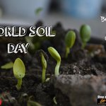 Image for the Tweet beginning: #BennyHills #BennyHillsIndia #WorldSoilDay #SoilDay #WorldSoilDay2020