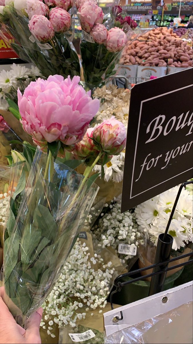MissMaximalism's tweet photo. @kroger in Starkville had peonies yesterday ❤️ the perfect pick-me-up for a day with snow flurries outside https://t.co/X8RhJdgWWZ