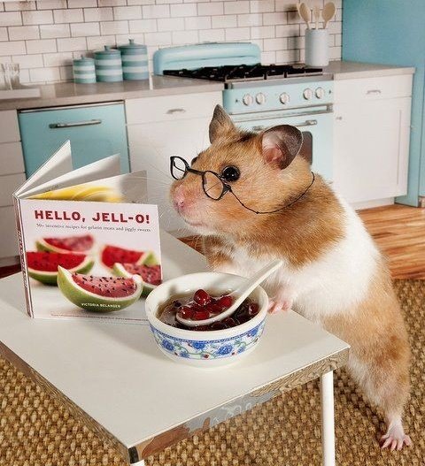 His cooking some food 