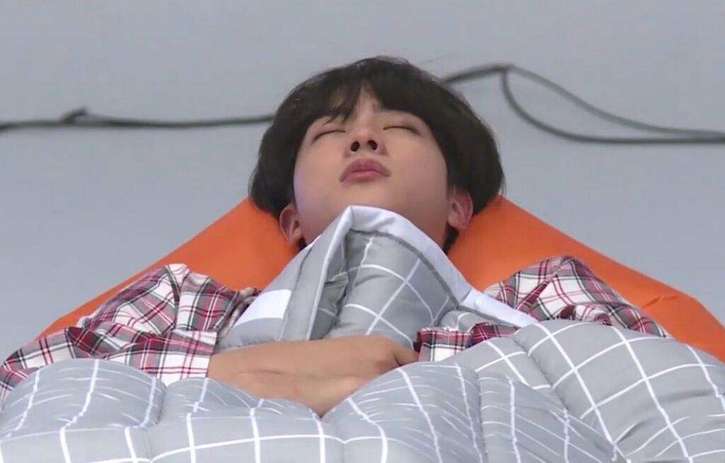 Shh... seokjin it's sleeping