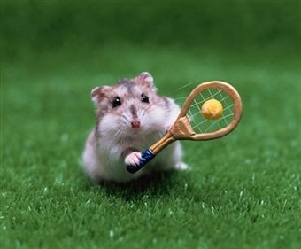 His playing tennis