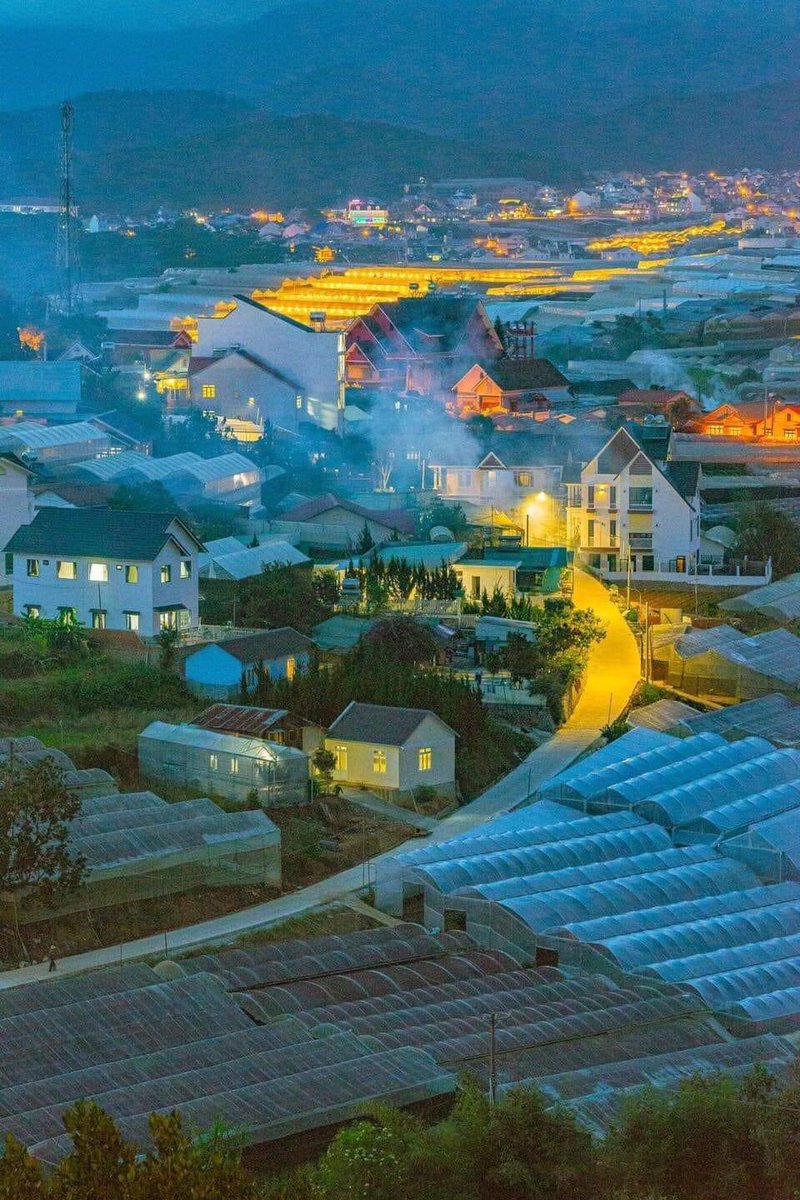 thuytrangtt2k's tweet photo. "Biết đi là con kiến càng 
Biết bay là chiếc lá vàng đang rơi
Biết mênh mông là bầu trời 
Con người đâu biết suốt đời lang thang." 

- Nguyễn Thế Hoàng Linh - https://t.co/QIid6I4oZK