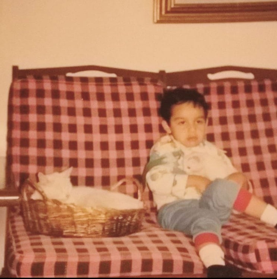 Il_DeBrandon's tweet image. Amo a los gatitos y cualquier felino desde hace casi 40 años.  #anciano #jatos #Gatos #Cats