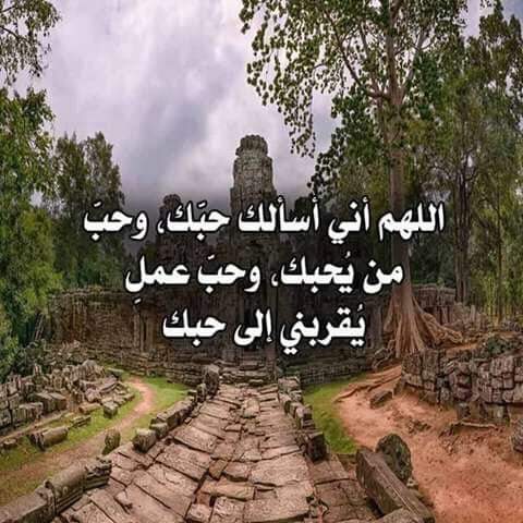 om Lubna (@ecb0keius39olay) on Twitter photo 