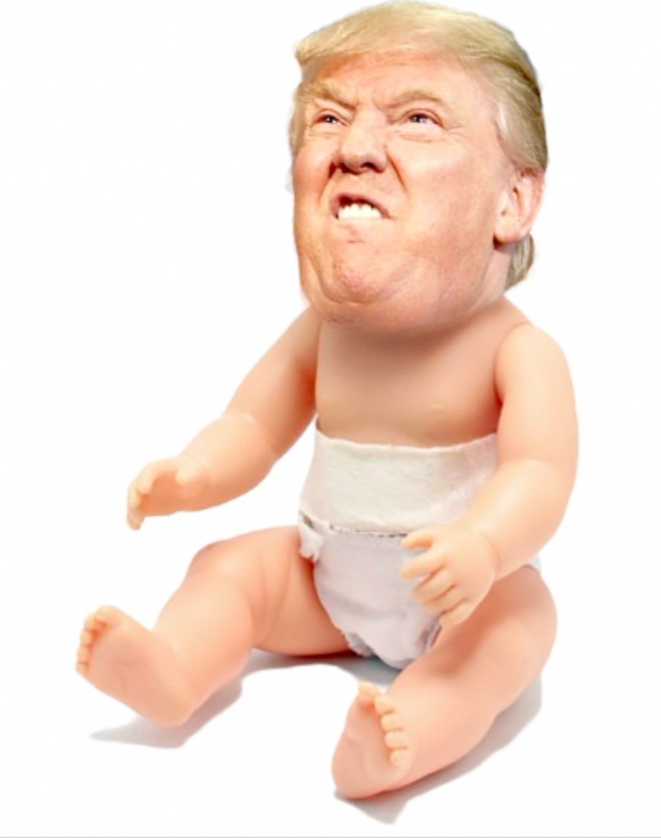 cborndifferent's tweet photo. @realDonaldTrump Give up you lost your out jan 20 bye bye https://t.co/BAgAek8Wn4