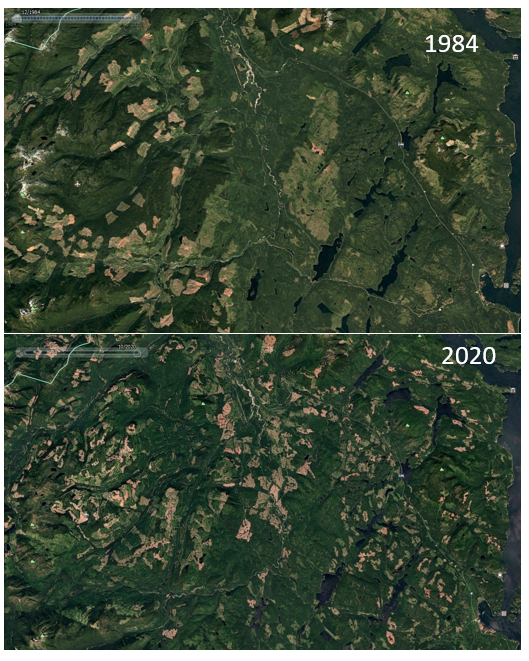 adamTford's tweet photo. 🚨PhD Student Position Available🚨

I am recruiting a student for work on the movement ecology and restoration of Roosevelt elk on Vancouver Island, BC, Canada. 

I would appreciate it if you could spread the word!
https://t.co/G7PWOcQmzP

#MovementEcology #phdchat #phdlife https://t.co/zNlOtQxirK