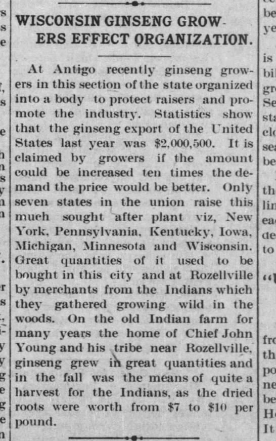 Some refused to go and chose to make their homes in the forests of central and northern Wisconsin, where they could live freely. In fact, the origins of the ginseng industry lie with Native peoples, who harvested and sold wild ginseng, slippery elm, and sap from sugar maples.