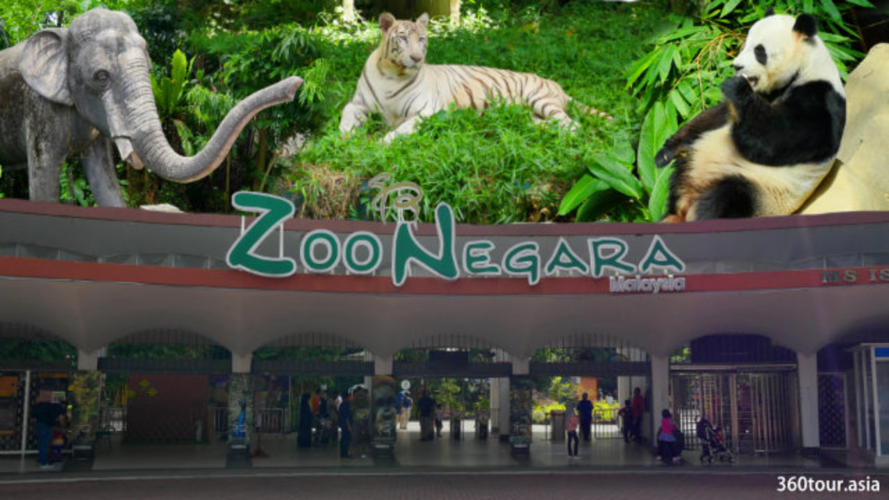 Negata zoo