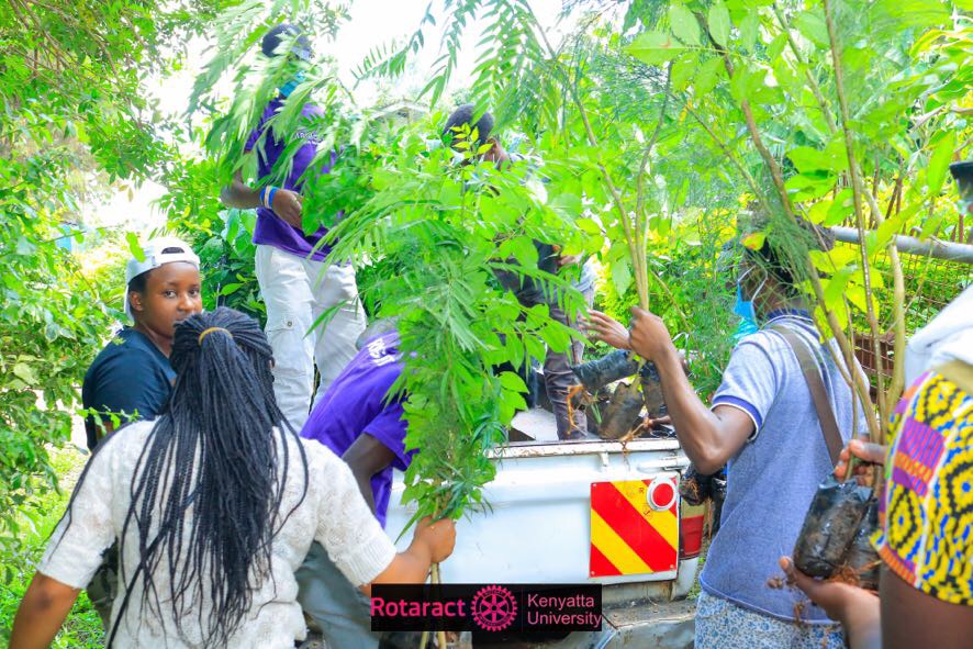 rcku_254's tweet photo. Time for Action is Now. 

We had a successful tree planting exercise last weekend at our school @KenyattaUni. Let's Keep it Green &amp; Clean.

#ClimateAction
#ServiceAboveSelf https://t.co/hj0OE1Ypnd