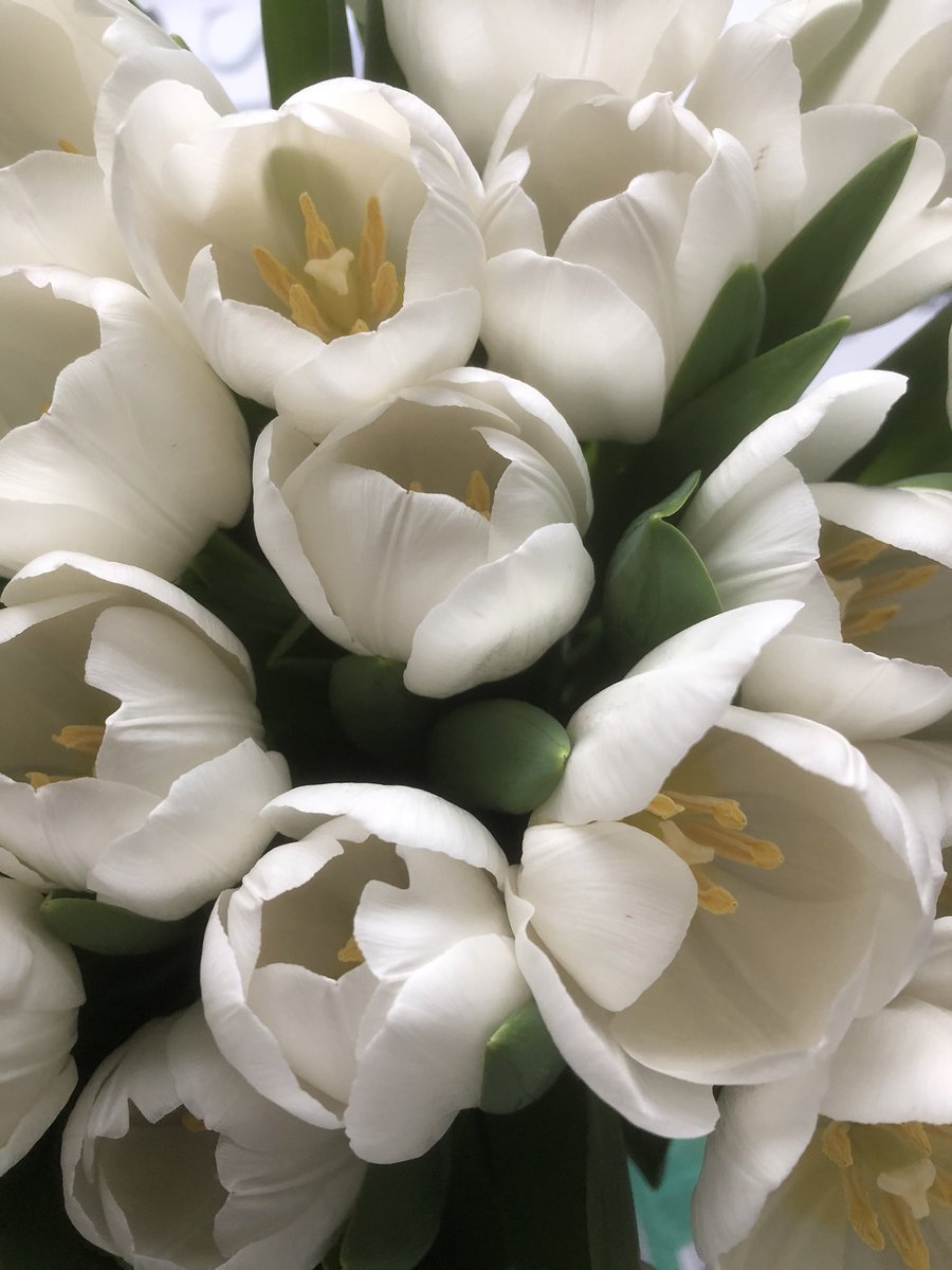 HomanMAC's tweet photo. Thank you @smit_flowers for an interesting visit, discussing vertical flower production, waterefficiency and 🌷 tulips abroad https://t.co/Vgxp5ovIiJ