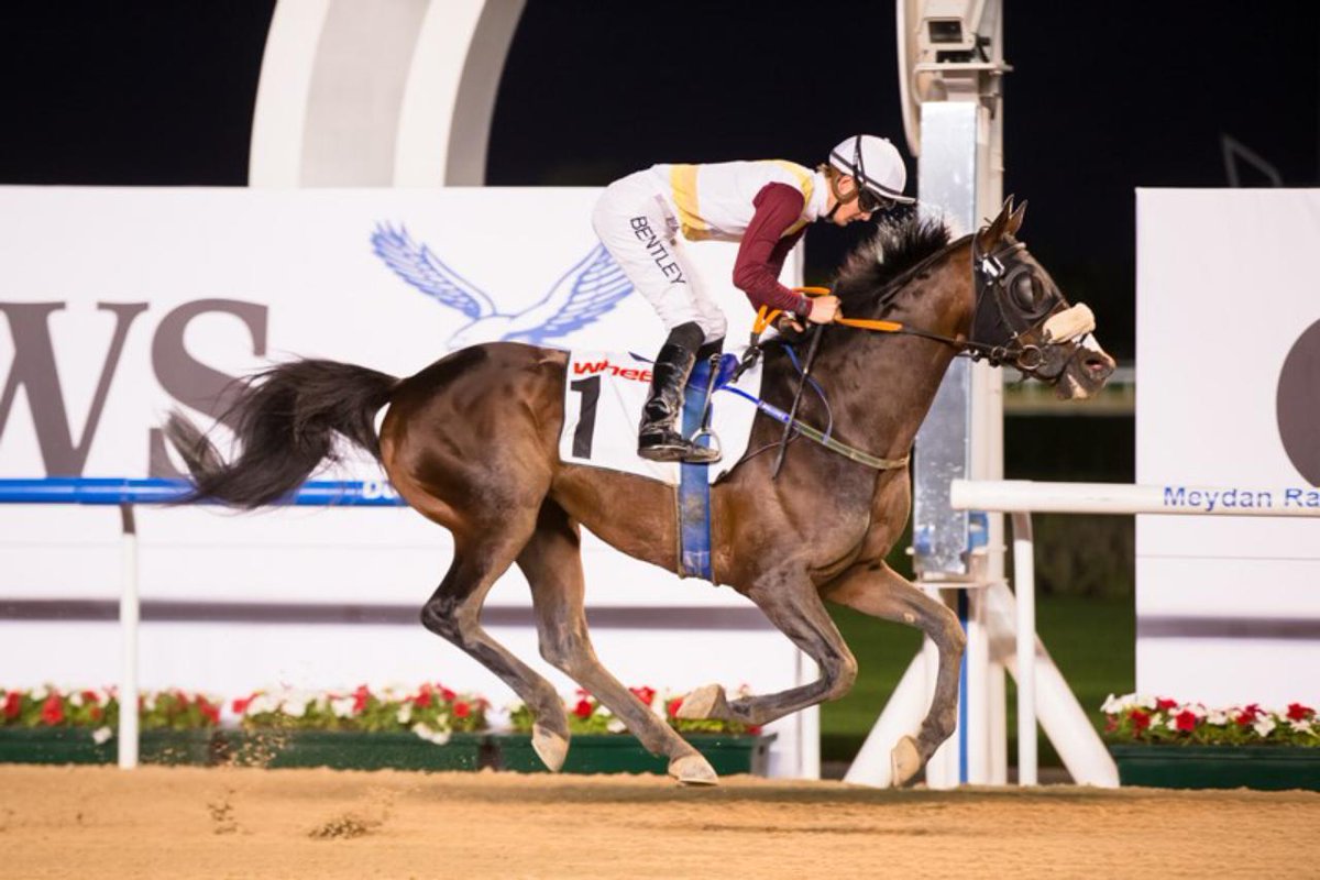 مشاركة عُمانية في ليلة سباق جوهرة تاج الشيخ زايد للفئة الأولى .. غداً الجمعة
متابعة ـ حمود بن سالم الريامي
facebook.com/10001299657470…