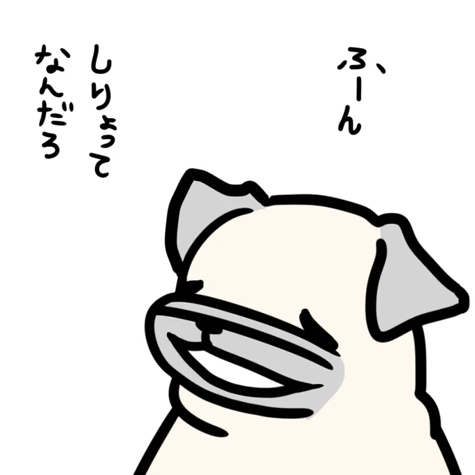 紫のビオラの花言葉は「思慮深さ」 