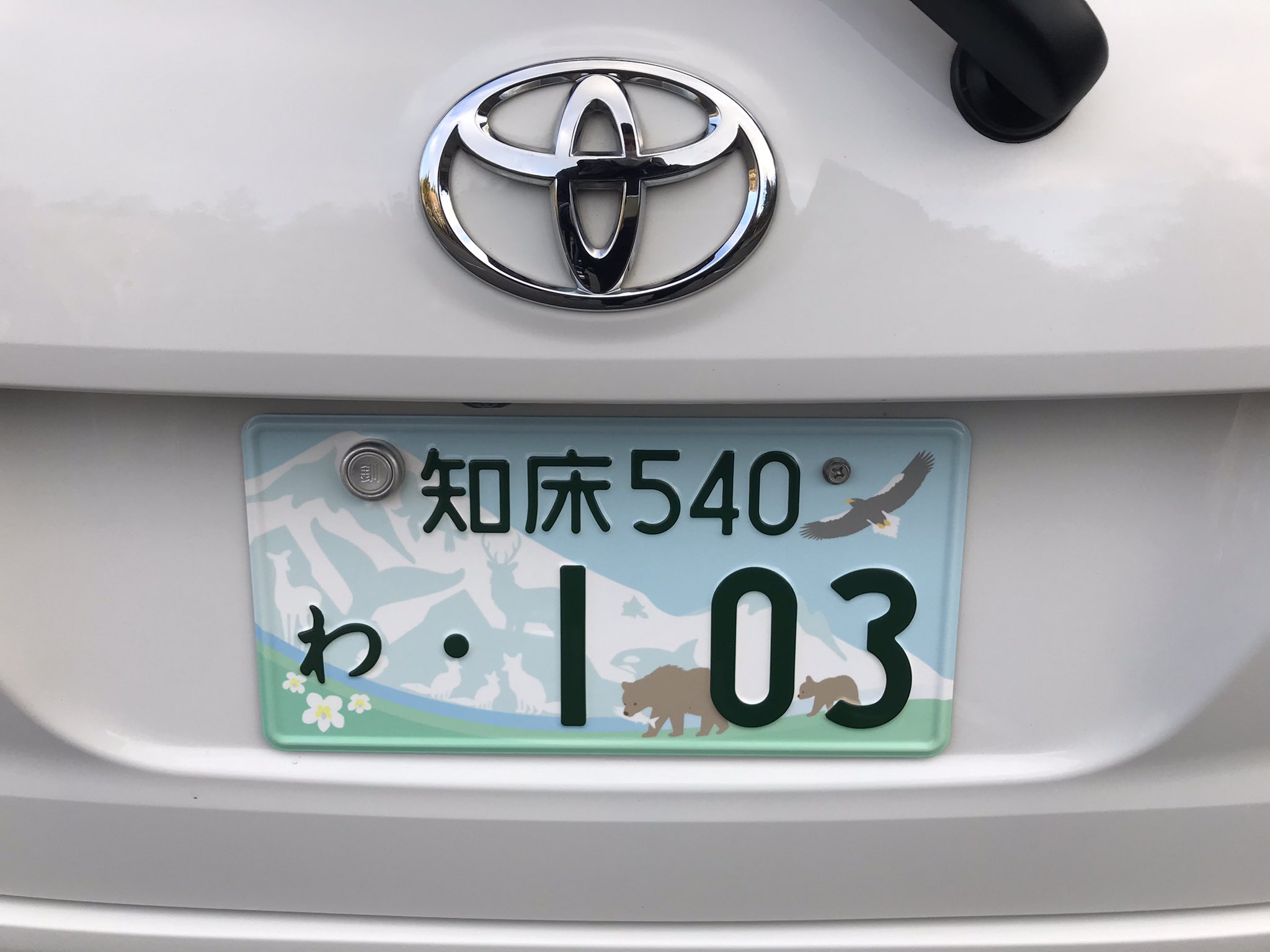 久保田敦 Akauma1601 なるほど 勉強になります レンタカーでこのナンバープレート は強い営業力になるように思います レンタカーで希望ナンバーというのも初めてでびっくりでした Twitter