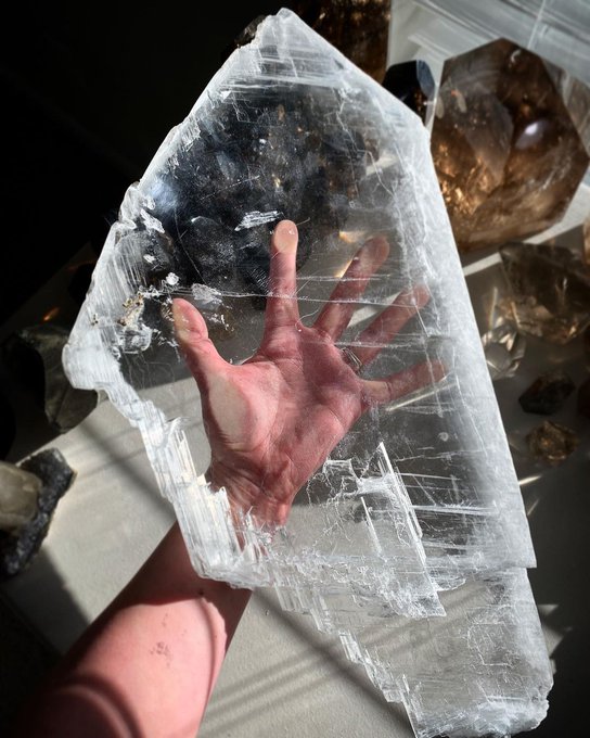 GeologyOfficial's tweet photo. Incredibly clear piece of selenite with light etching on the faces.
Credit: Mystico Crystals

#Geology #GeologyBuzz #minerals #crystals #Selenite https://t.co/S4MzWJ8wgJ