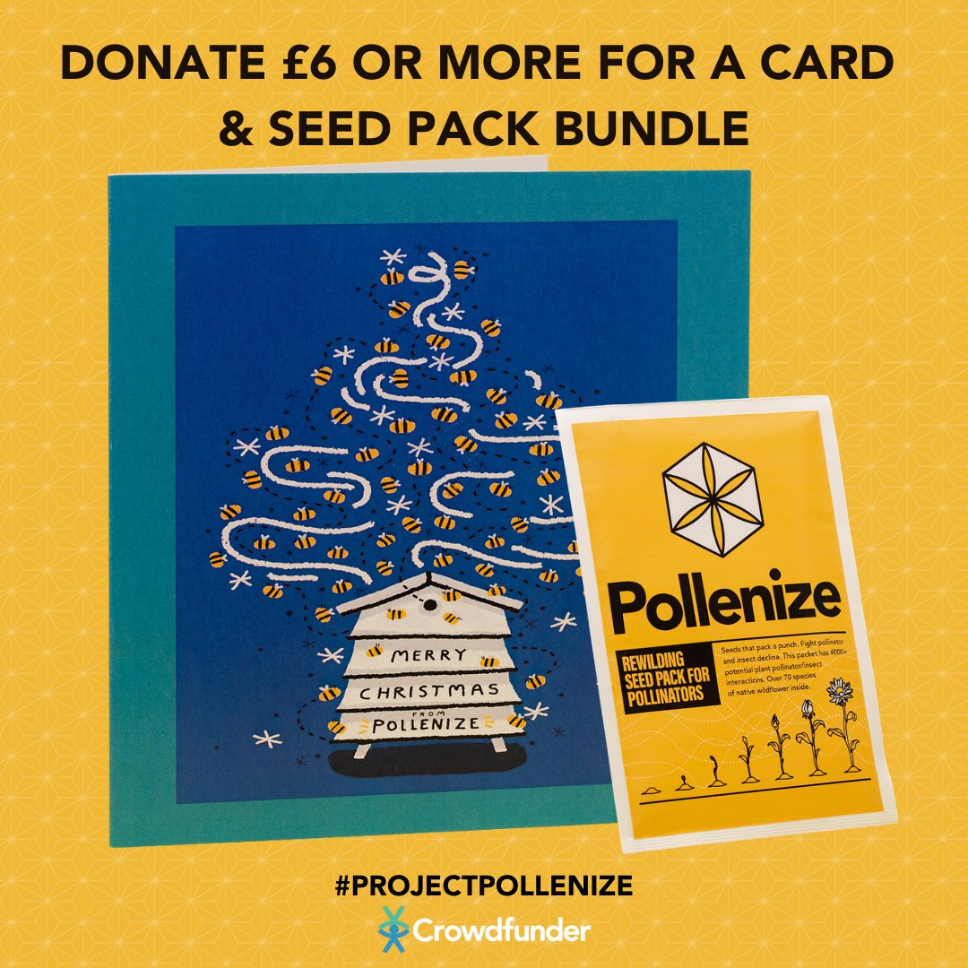 PollenizeCIC's tweet photo. ⚠️1 DAY TO GO⚠️Time is running out to reach our £60,000 goal...can you help us make the #ProjectPollenize Seeds for Schools campaign happen?! There are some fantastic rewards available for donations including this #ChristmasCard & #WildflowerSeeds bundle. https://t.co/uIUBeHSALi https://t.co/0aCEDk6G9f