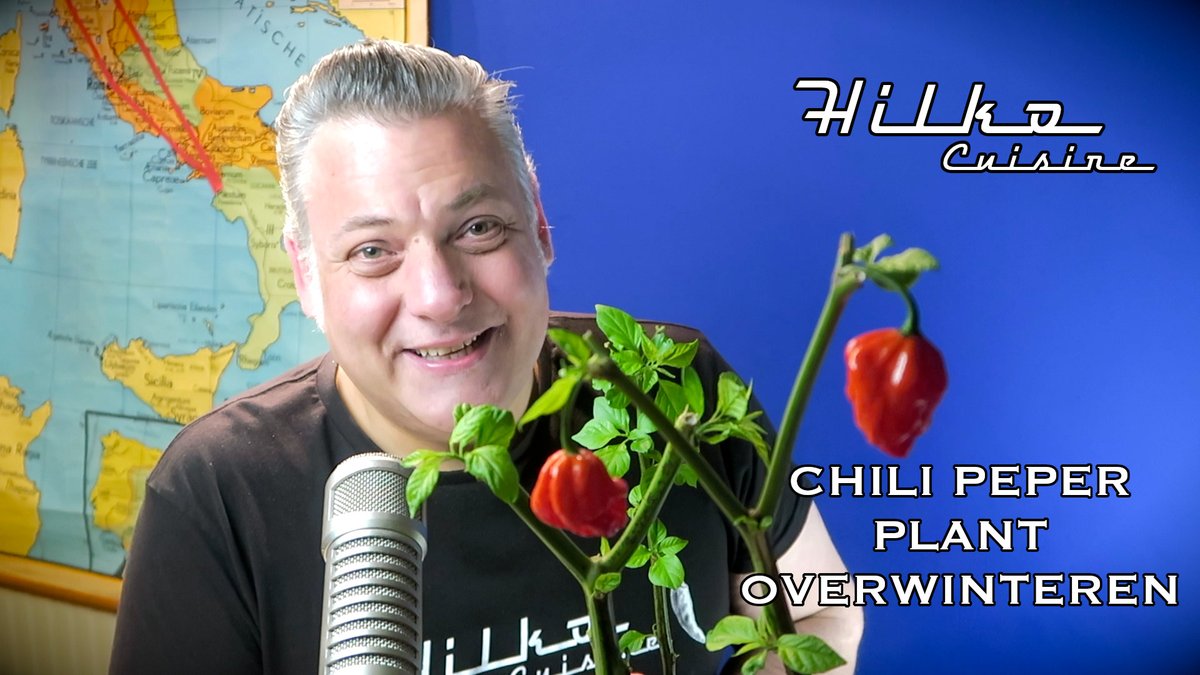 HilkoCuisine's tweet photo. Een chilipeper plant overwinteren, kan dat? Door Hilko Cuisine https://t.co/fAAwSVjrmy via @YouTube https://t.co/jasubEUTJB