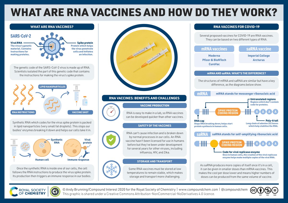 RoySocChem's tweet image. The @pfizer / @BioNTech_Group vaccine is based on the delivery of synthetic RNA to cells. How does this work?  

The chemistry behind RNA vaccines is explored in this graphic developed with @compoundchem 

#CovidVaccine #COVID19 #vaccination