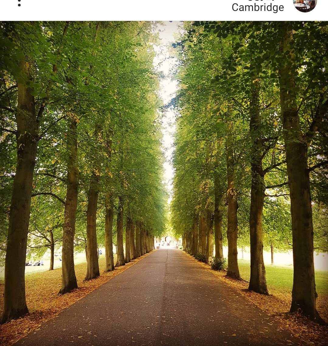 انا كلما نويت انسى لك الذكرى ترجعني
ترى للحين انا احبك واشوفك بين حين وحين

#ما_الذي_تحذفه_من_حياتك 
#ضباب_الرياض