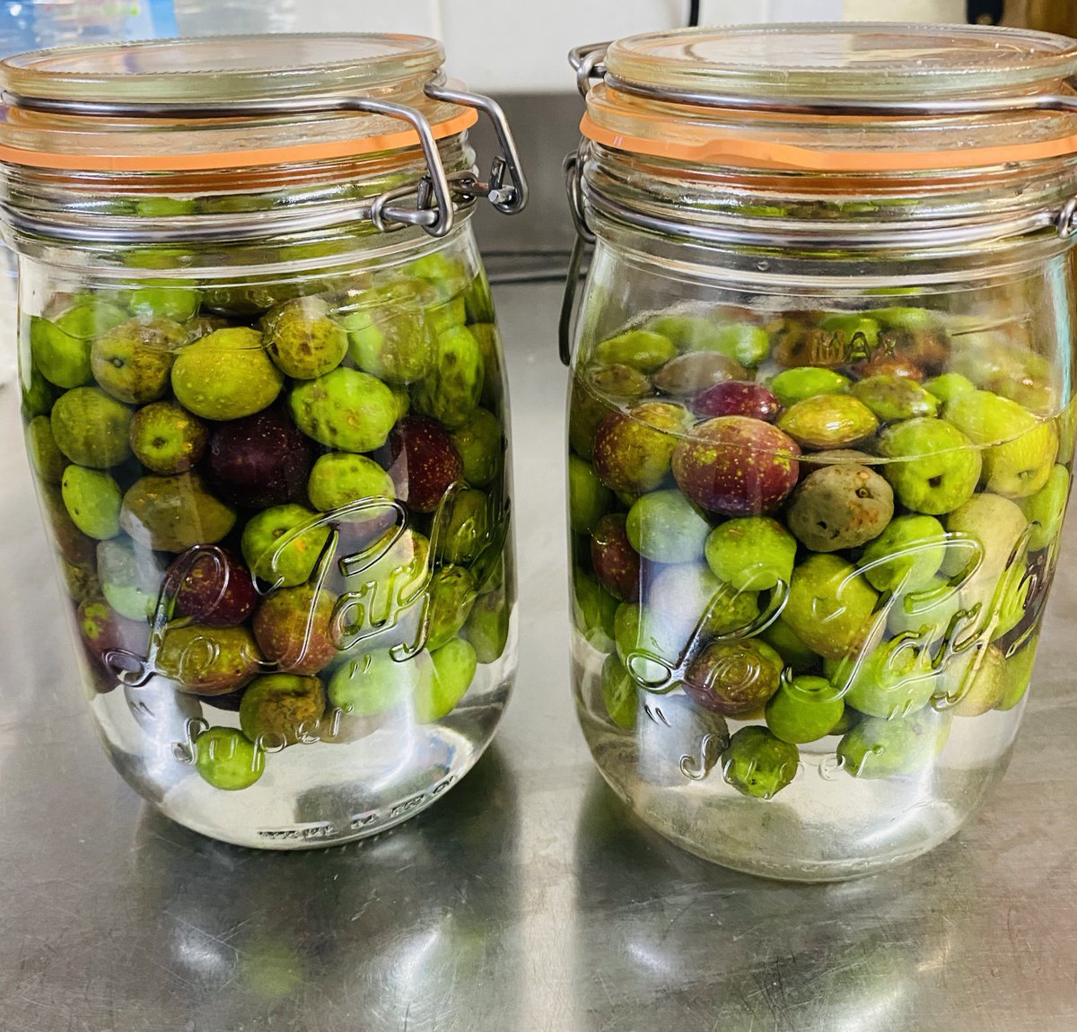 The country life in Winter...picked our first batch of olives. What I didn’t know is that we have to cure olives for 4 weeks before eating... I started the process today... we’ll see if it works