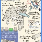 猫の仲間にも泳ぎが得意な子がいる？!「スナドリネコ」を分かりやすく紹介したツイートが話題に!