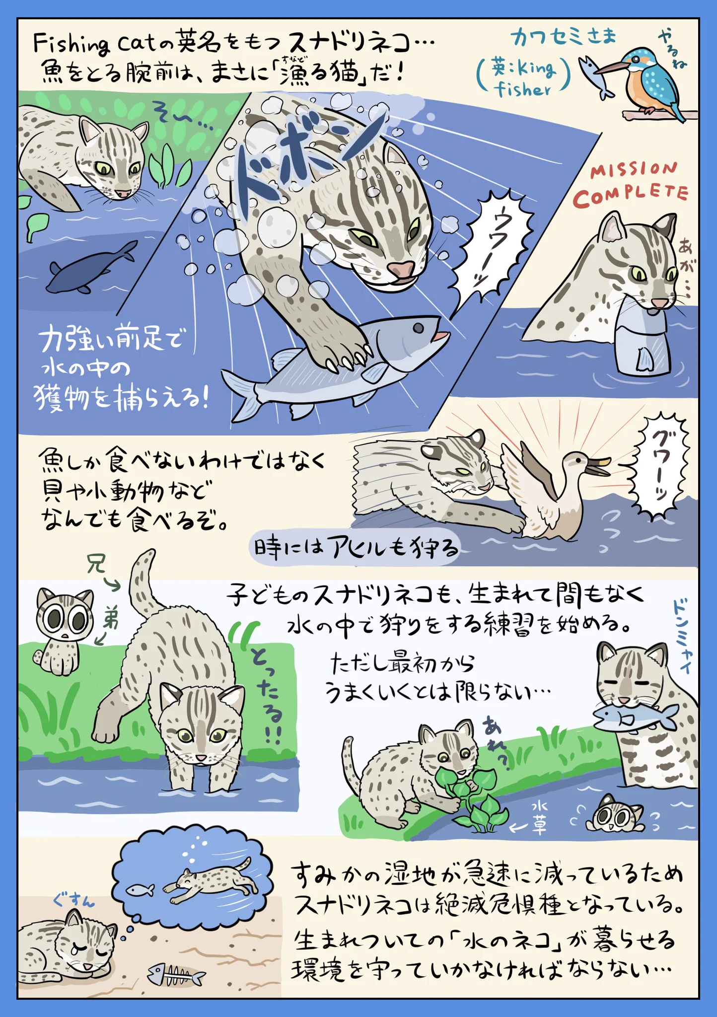 猫の仲間にも泳ぎが得意な子がいる？！「スナドリネコ」を分かりやすく紹介したツイートが話題に！