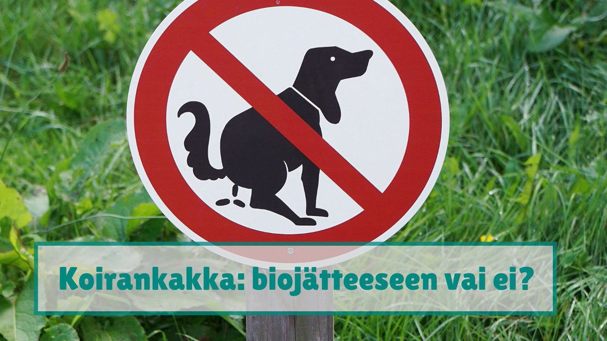 Mikkelin Myytinmurtajat iskee: kuuluuko koirankakka biojätteeseen vai ei? #whatthebio #emergreen #mikkeli